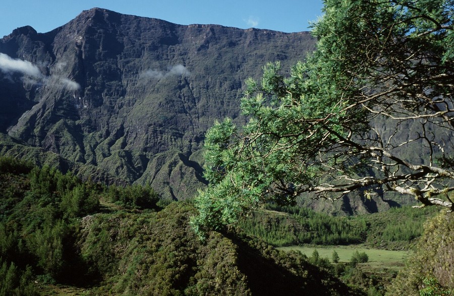 LaReunion_166