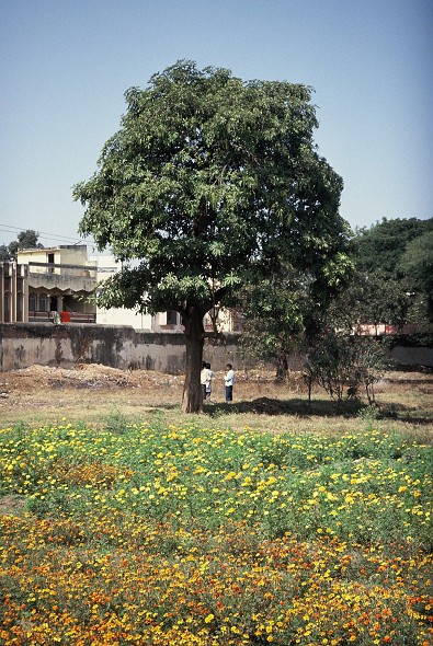 NairobiAirport-Hyderabad_009