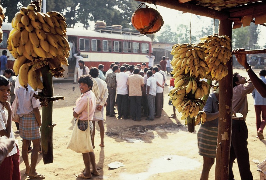 Hyderabad-AndrahPradesh-TamilNadu_031