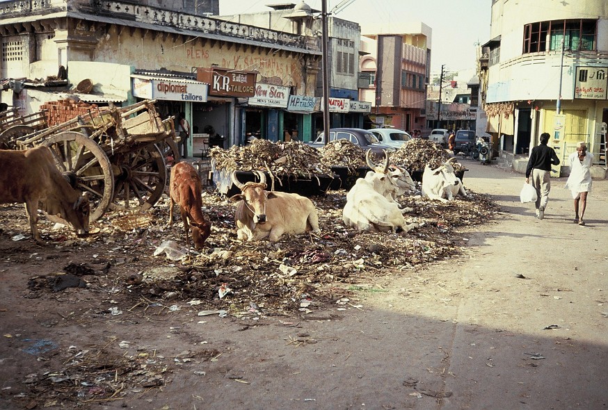 Hyderabad-AndrahPradesh-TamilNadu_086