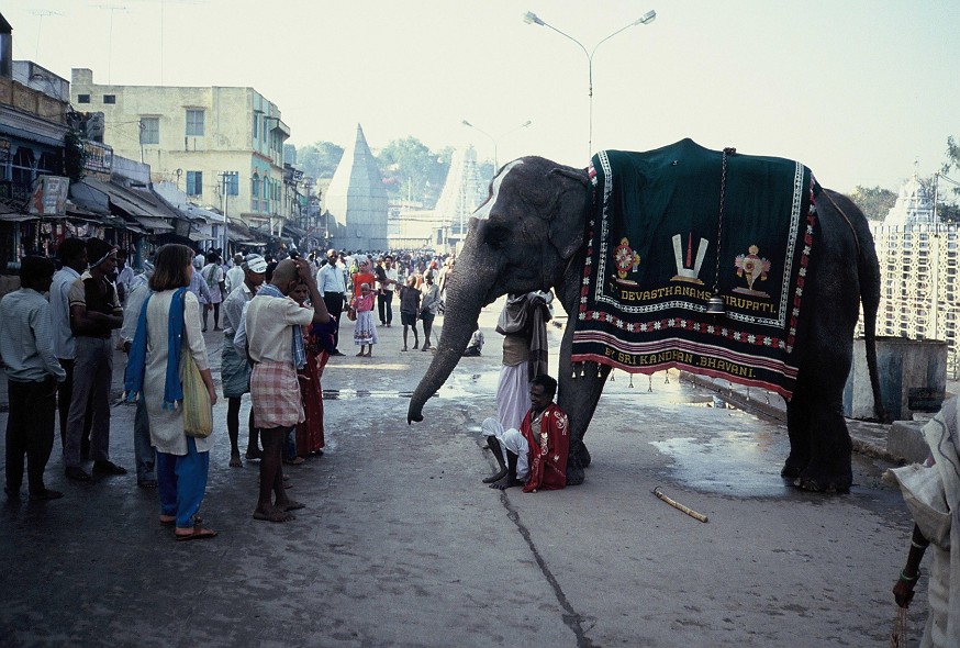 Hyderabad-AndrahPradesh-TamilNadu_114