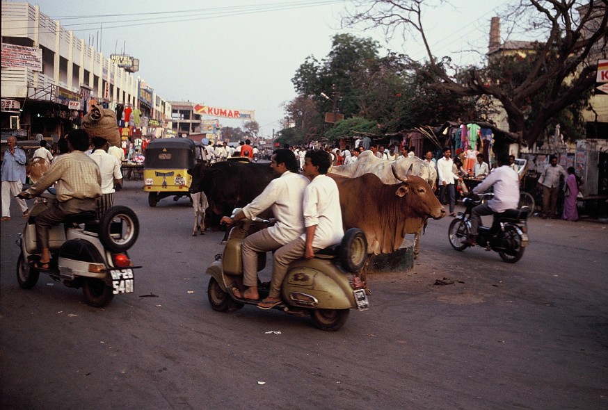 Hyderabad-AndrahPradesh-TamilNadu_139