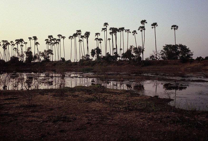 Hyderabad-AndrahPradesh-TamilNadu_151