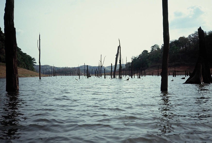 TamilNadu-Kerala_109