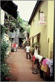 Kerala-Goa_131