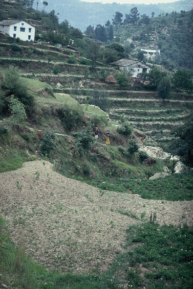 Bombay-Delhi-Roorkee-Nainital_124