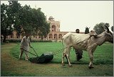 Delhi-Agra_005