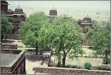 Delhi-Agra_028