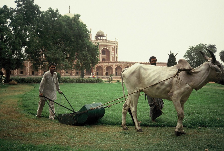 Delhi-Agra_005